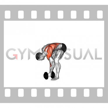 Dumbbell Single Arm Pendlay Row