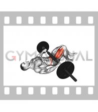 Barbell Single Leg Glute Bridge (hands on bar)