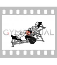 Lever Single Leg Hip Thrust (plate loaded) (male)