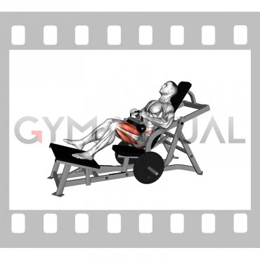 Lever Single Leg Hip Thrust (plate loaded) (male)