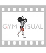 Safety Bar Split Squat