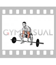 Barbell Squatting Bicep Curl