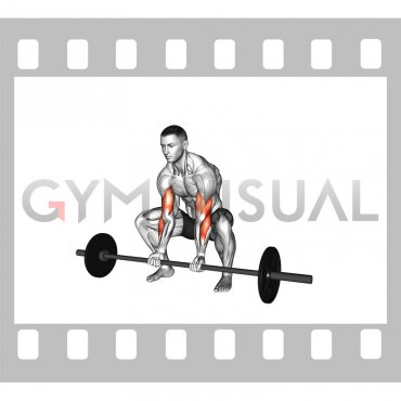 Barbell Squatting Bicep Curl