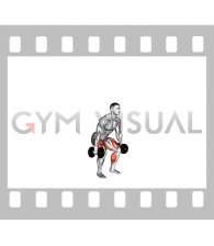 Dumbbell Quarter Squat Jump