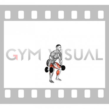 Dumbbell Quarter Squat Jump