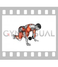 Dumbbell Bear Plank Pass Through