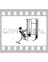 Cable Incline Rear Delt Fly with Back Support (female)
