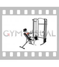 Cable Incline Rear Delt Fly with Back Support (female)