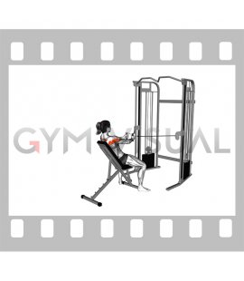 Cable Incline Rear Delt Fly with Back Support (female)