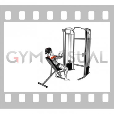 Cable Incline Rear Delt Fly with Back Support (female)