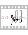 Cable Incline Rear Delt Fly with Back Support (female)