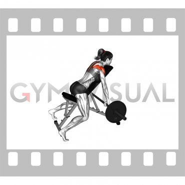 Barbell Incline Rear Delt Row (female)