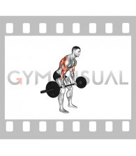 Barbell Yates Row