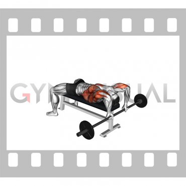 Barbell Triceps Pullover