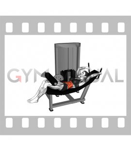 Lever Lying Leg Raise Bent Knee (female)