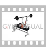 Barbell Triceps Extension Bent Arms Pullover