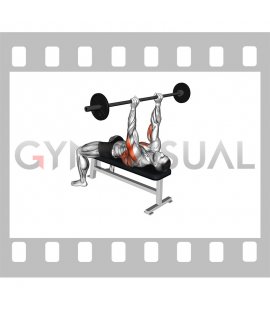 Barbell Triceps Extension Bent Arms Pullover