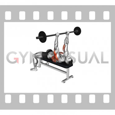 Barbell Triceps Extension Bent Arms Pullover