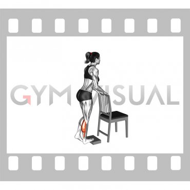 Single Leg Calf Raise from Deficit with Chair Supported (female)
