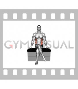 Seated Twist Stretch on a padded stool (male)
