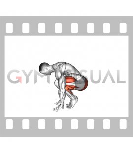 Tuck to Hamstring Stretch (male)