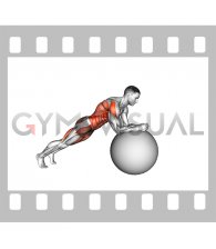 Stability Ball Rollout (male)