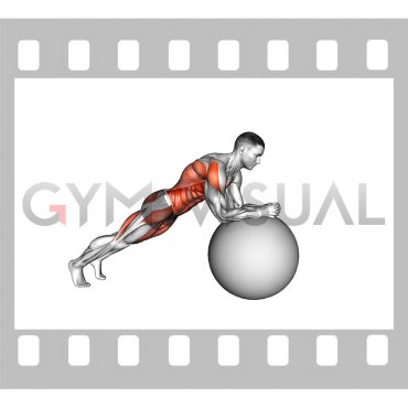 Stability Ball Rollout (male)