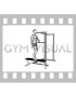 Bodyweight Single Leg Step Down with Support (male)
