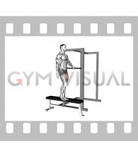 Bodyweight Single Leg Step Down with Support (male)