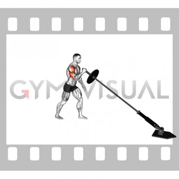 Landmine Split Stance Single Arm Press
