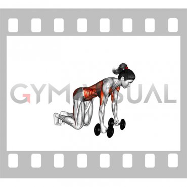 Dumbbell Bird Dog (female)