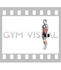 Dumbbell Unilateral Tight Rope Walk (male)