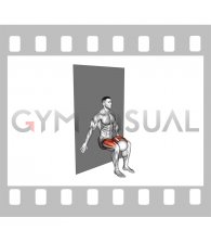 Adductor Squeeze Sit Wall