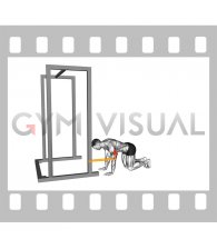 Resistance Band Kneeling Elbow Extension
