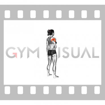 Shoulder - Lateral Rotation (External Rotation) (female)