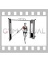 Cable Single Arm Low Fly (female)