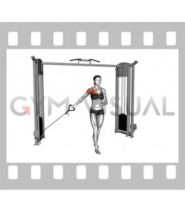 Cable Single Arm Low Fly (female)