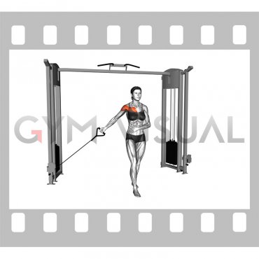 Cable Single Arm Low Fly (female)