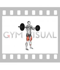 Barbell full Zercher Squat