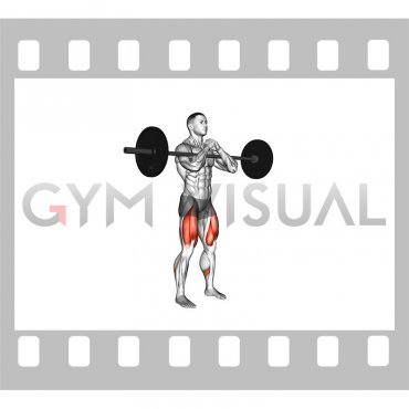 Barbell full Zercher Squat