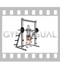 Smith Zercher Squat