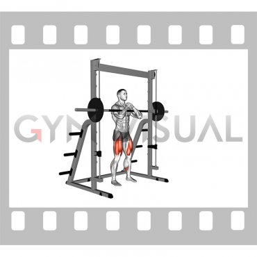 Smith Zercher Squat