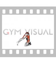 Supported Headstand Yoga Pose Sirsasana (female)