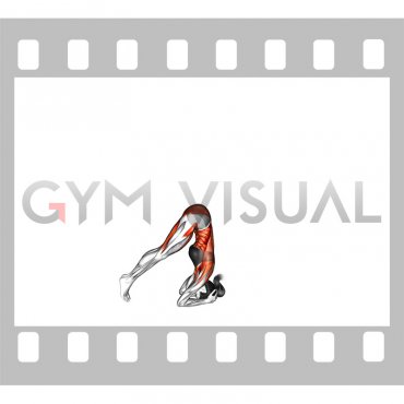 Supported Headstand Yoga Pose Sirsasana (female)
