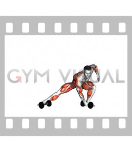 Dumbbell Lateral Lunge with Cross Body Row (male)