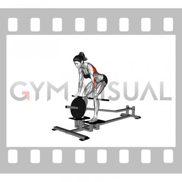 Lever T Bar Reverse Grip Row (female)