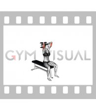Dumbbell Seated Alternate Overhead Triceps Extension (female)