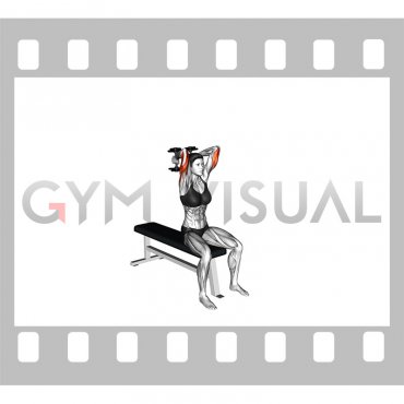Dumbbell Seated Alternate Overhead Triceps Extension (female)