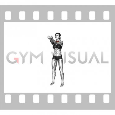 Standing United Biceps Curl (female)