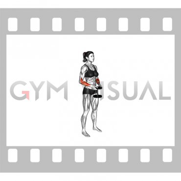 Dumbbell Standing Hands Torsion (female)